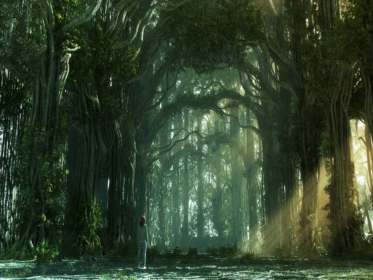 Detail Fantasy Forest Background Nomer 15