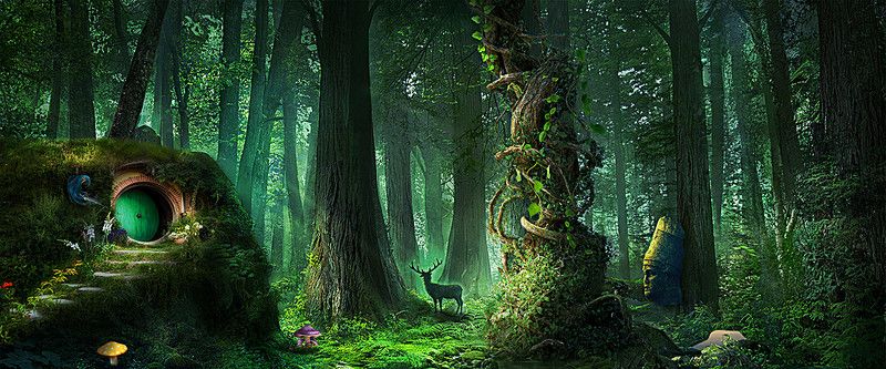 Detail Fantasy Forest Background Nomer 39