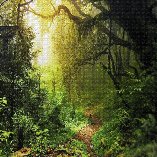 Detail Fantasy Forest Background Nomer 48