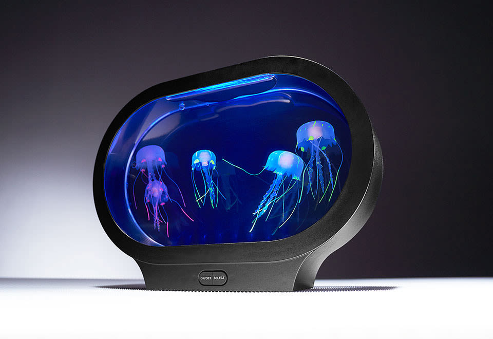 Fantasy Jellyfish Aquarium - KibrisPDR