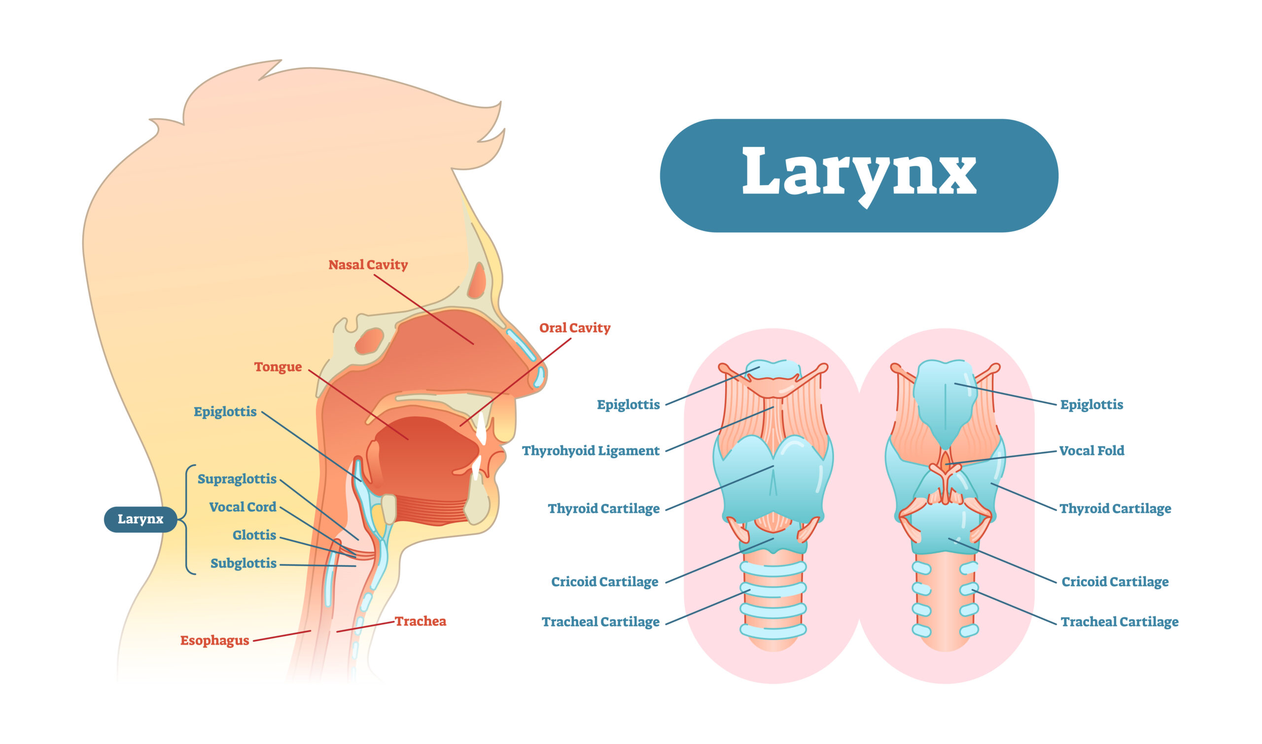 Detail Faring Dan Laring Gambar Nomer 23