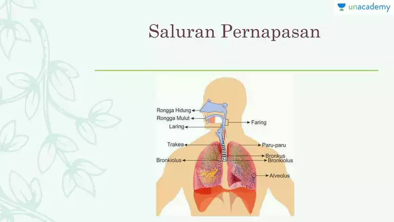 Detail Faring Dan Laring Gambar Nomer 28