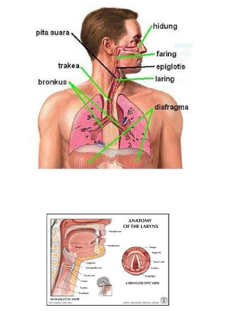 Detail Faring Dan Laring Gambar Nomer 32