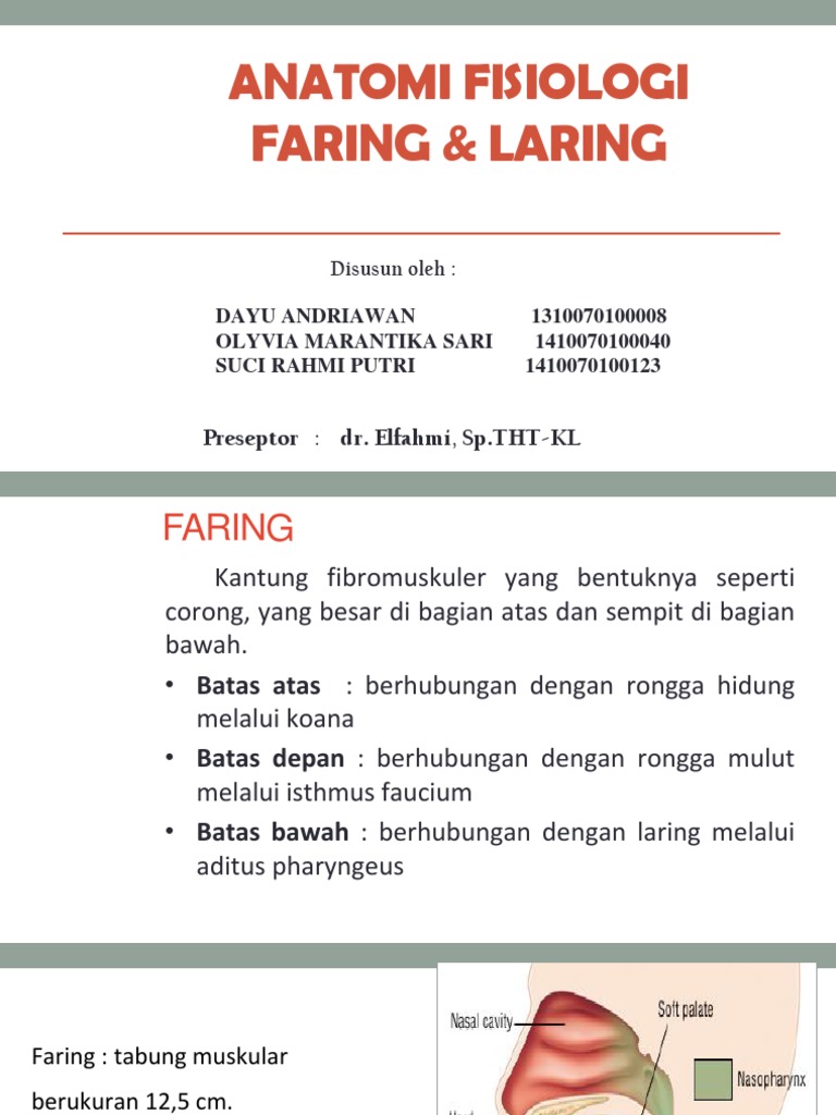 Detail Faring Dan Laring Gambar Nomer 44