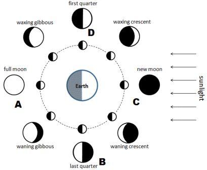 Detail Fase Bulan Dan Gambarnya Nomer 13