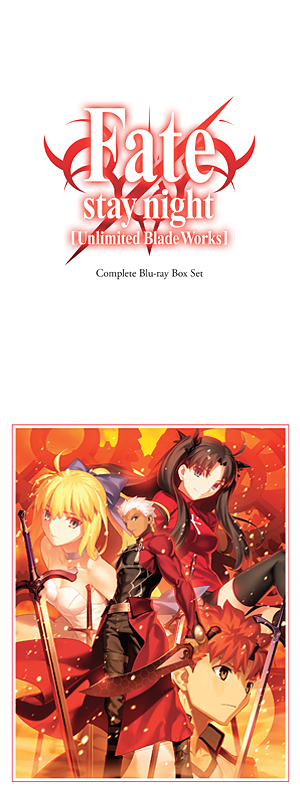 Detail Fate Stay Night Unlimited Blade Works Bd Nomer 23