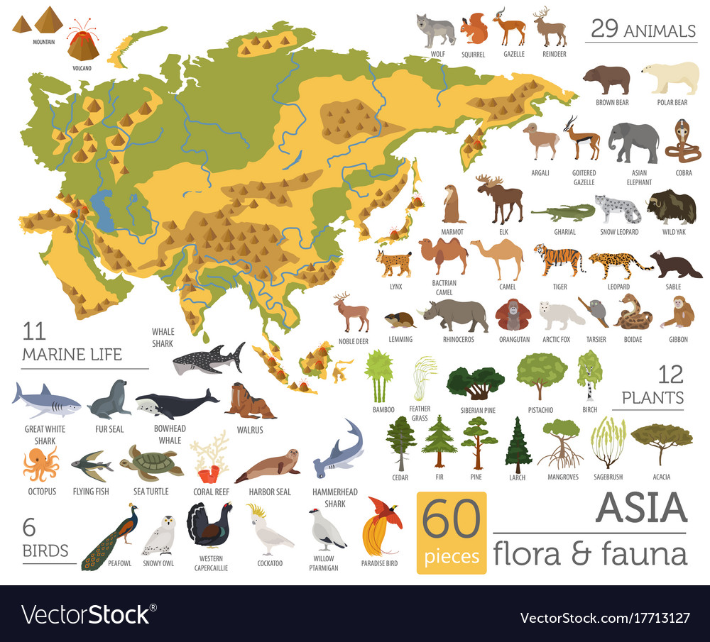 Detail Fauna Di Asia Nomer 8