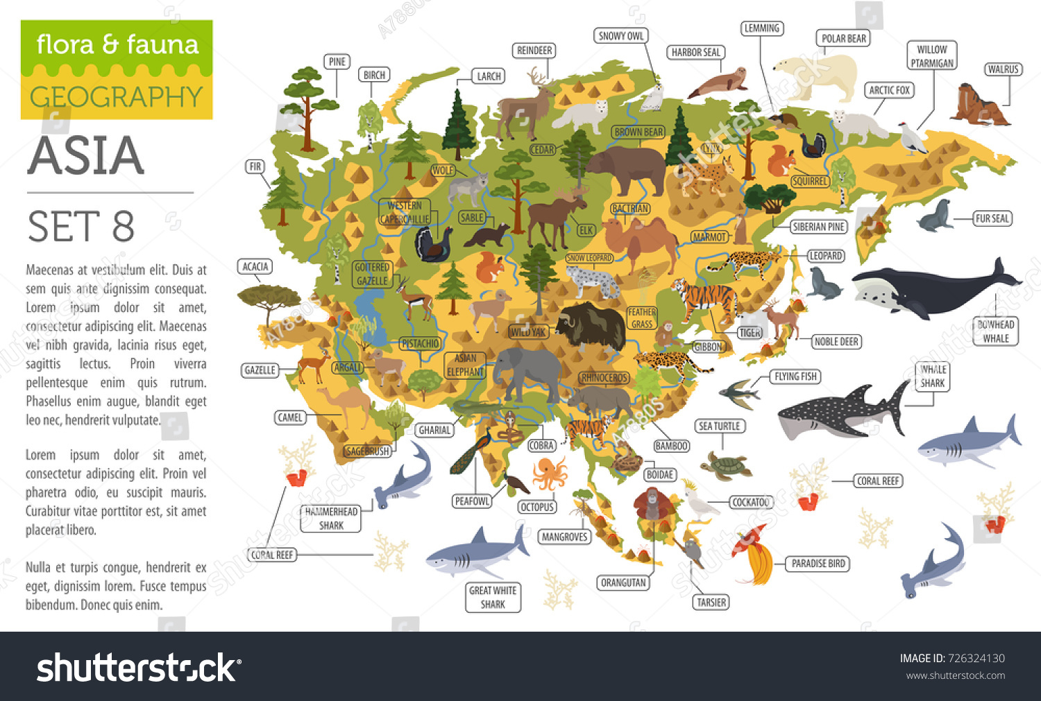 Detail Fauna Di Asia Nomer 18