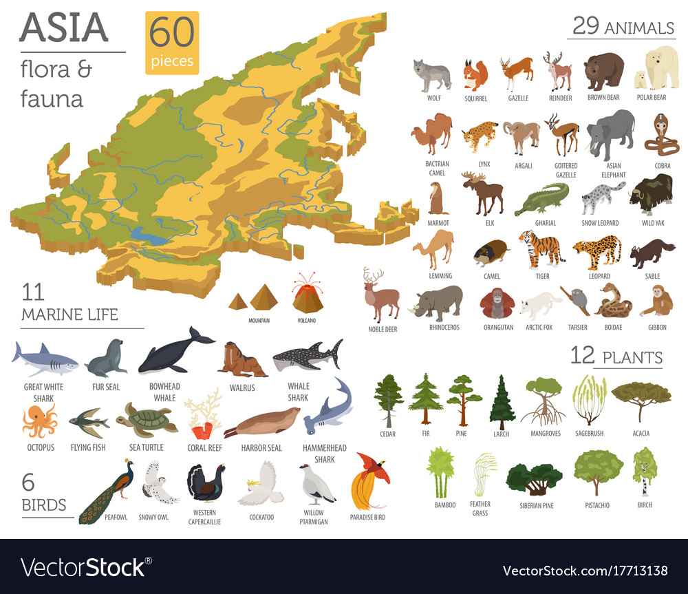 Detail Fauna Di Asia Nomer 7