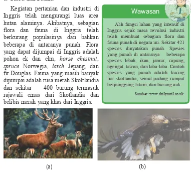 Detail Fauna Di Inggris Nomer 13