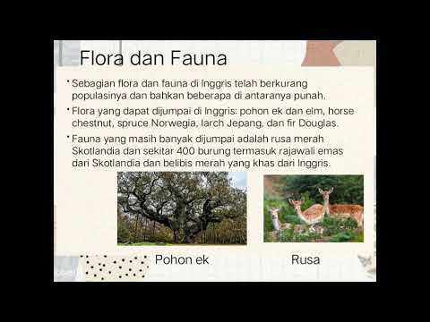 Detail Fauna Di Inggris Nomer 49