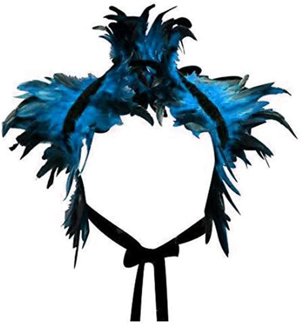 Detail Feather Cloak Nomer 15