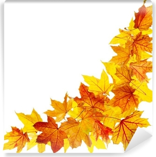 Detail Herbstbilder Als Hintergrund Nomer 13