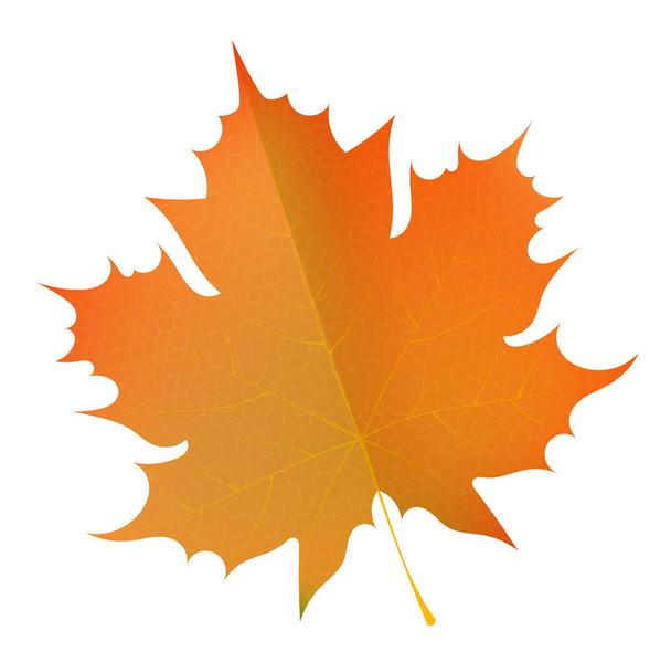 Detail Herbstbilder Als Hintergrund Nomer 15