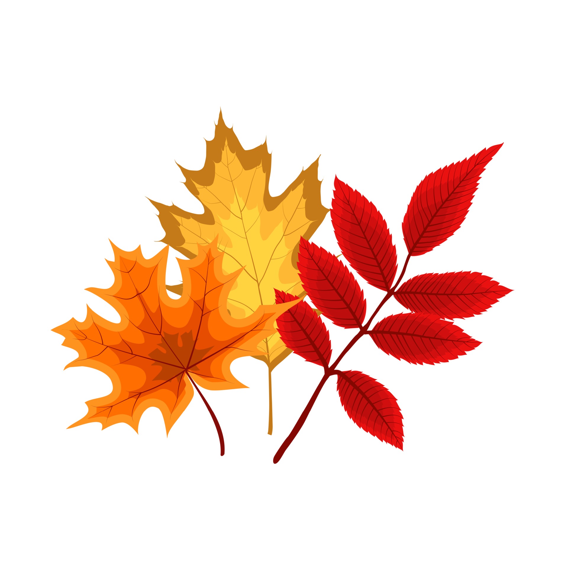 Detail Herbstbilder Als Hintergrund Nomer 8