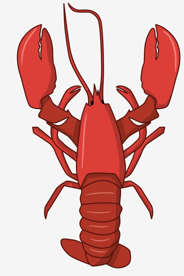 Detail Lobster Png Cartoon Nomer 11