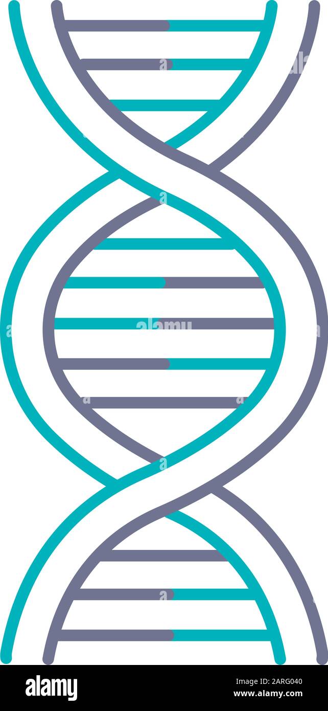 Detail Mutation Bio Nomer 11