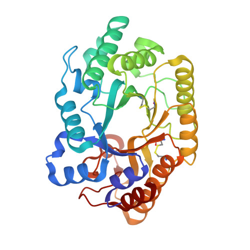 Detail Mutation Bio Nomer 12