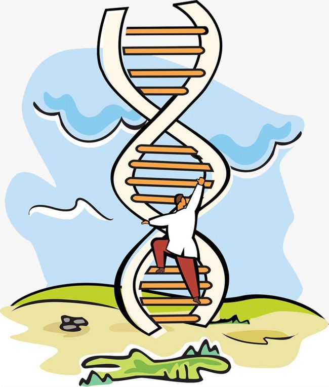 Detail Mutation Bio Nomer 16