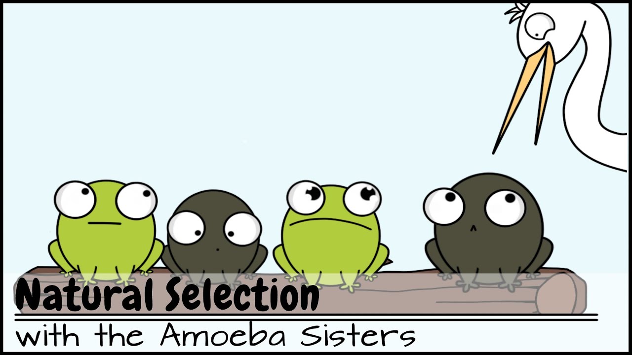 Detail Mutation Bio Nomer 18
