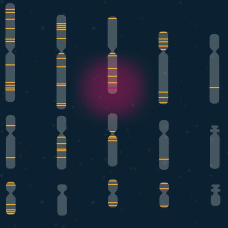 Detail Mutation Bio Nomer 20