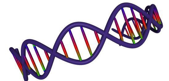 Detail Mutation Bio Nomer 22