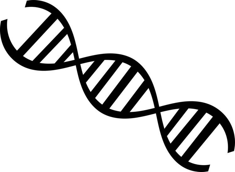 Detail Mutation Bio Nomer 5