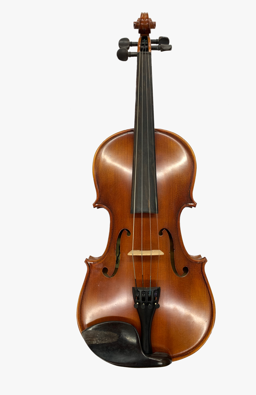 Detail Sandner Viola Nomer 6