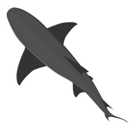 Detail Shark Angle Nomer 7