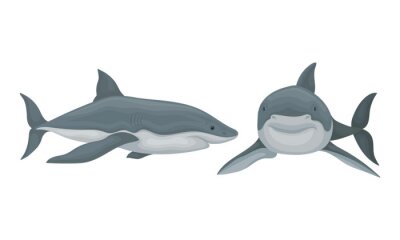 Detail Shark Angle Nomer 9