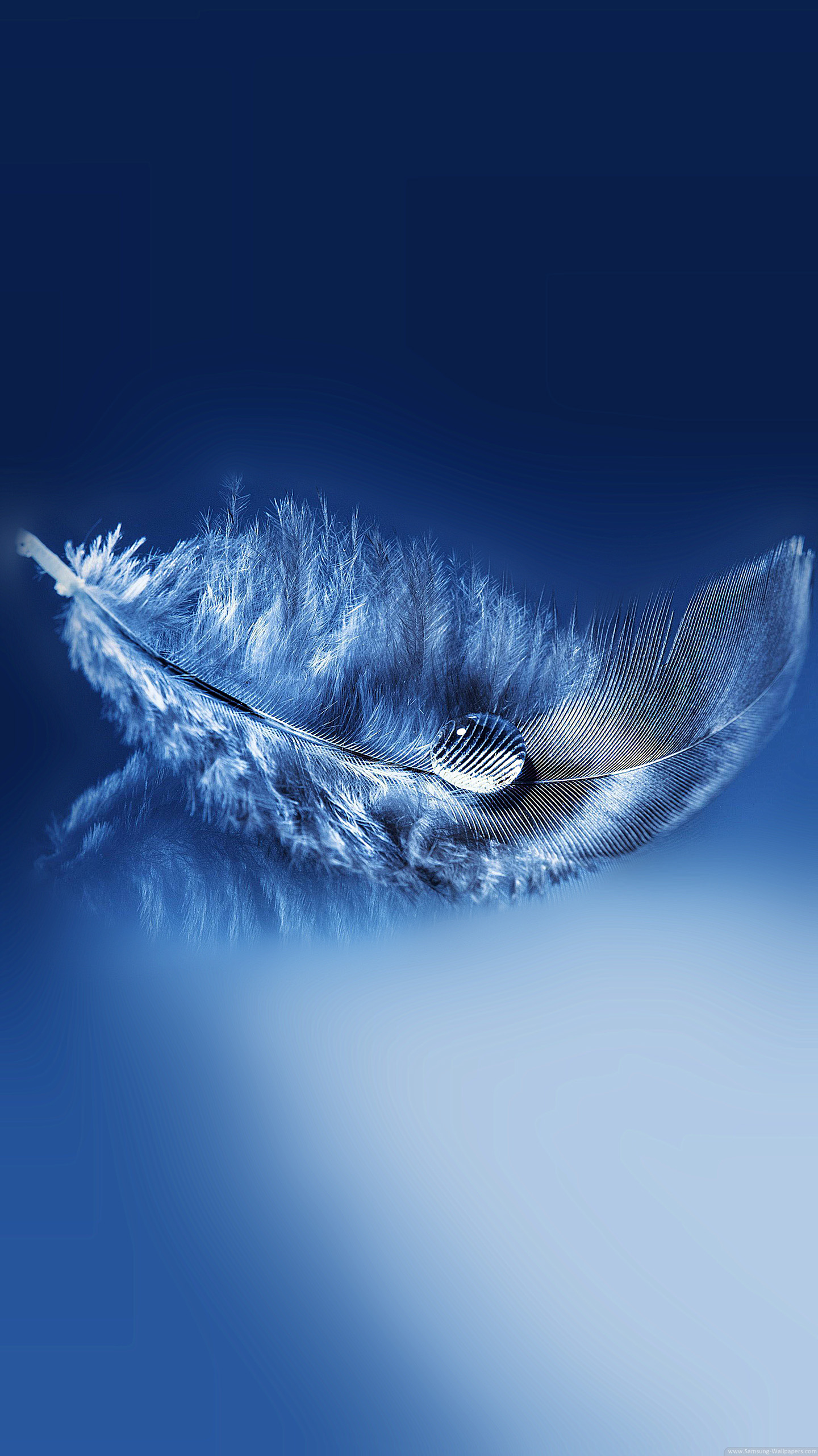 Detail Feather Background Hd Nomer 34