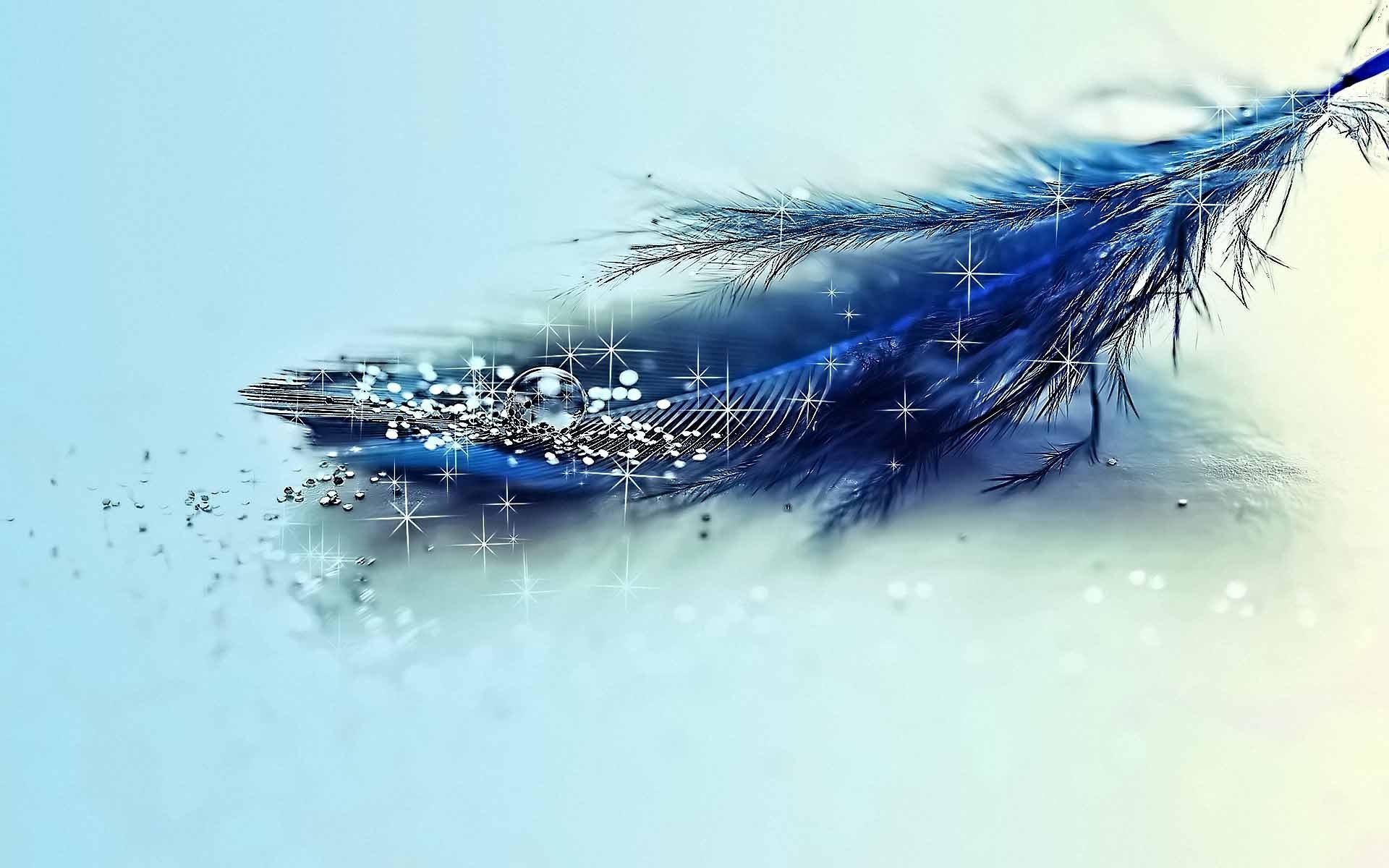 Detail Feather Background Hd Nomer 45