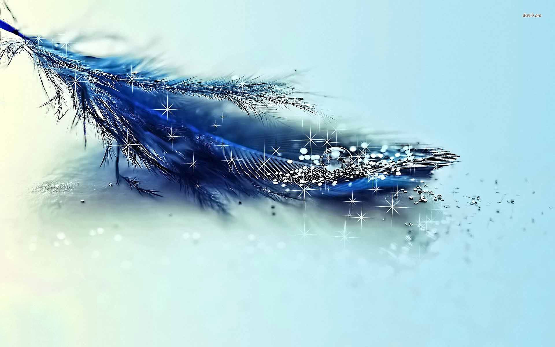 Detail Feather Background Hd Nomer 9