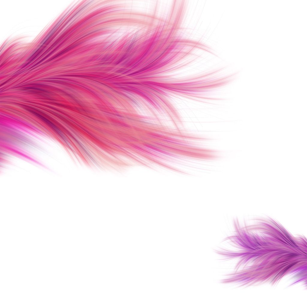 Detail Feather Background Tumblr Nomer 2