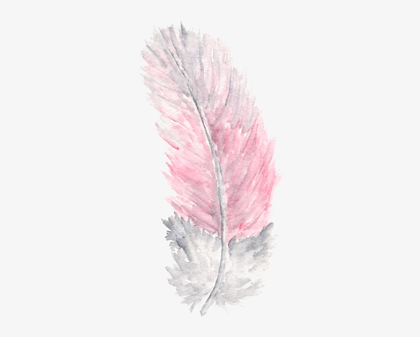 Detail Feather Background Tumblr Nomer 13