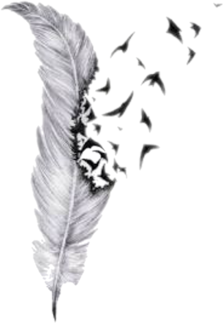 Detail Feather Background Tumblr Nomer 20