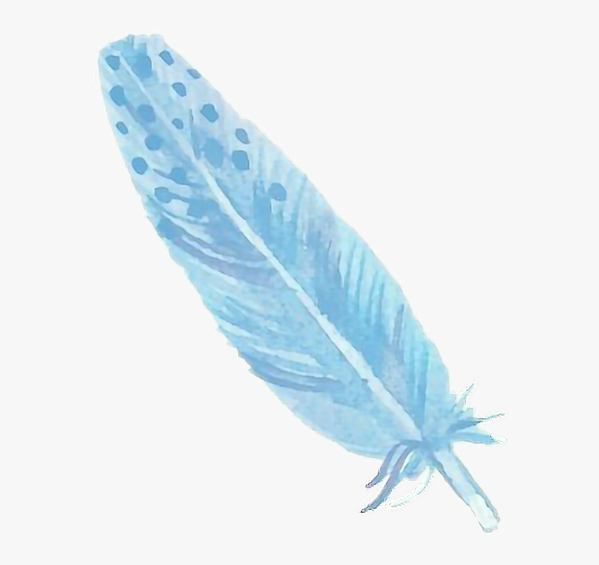 Detail Feather Background Tumblr Nomer 26