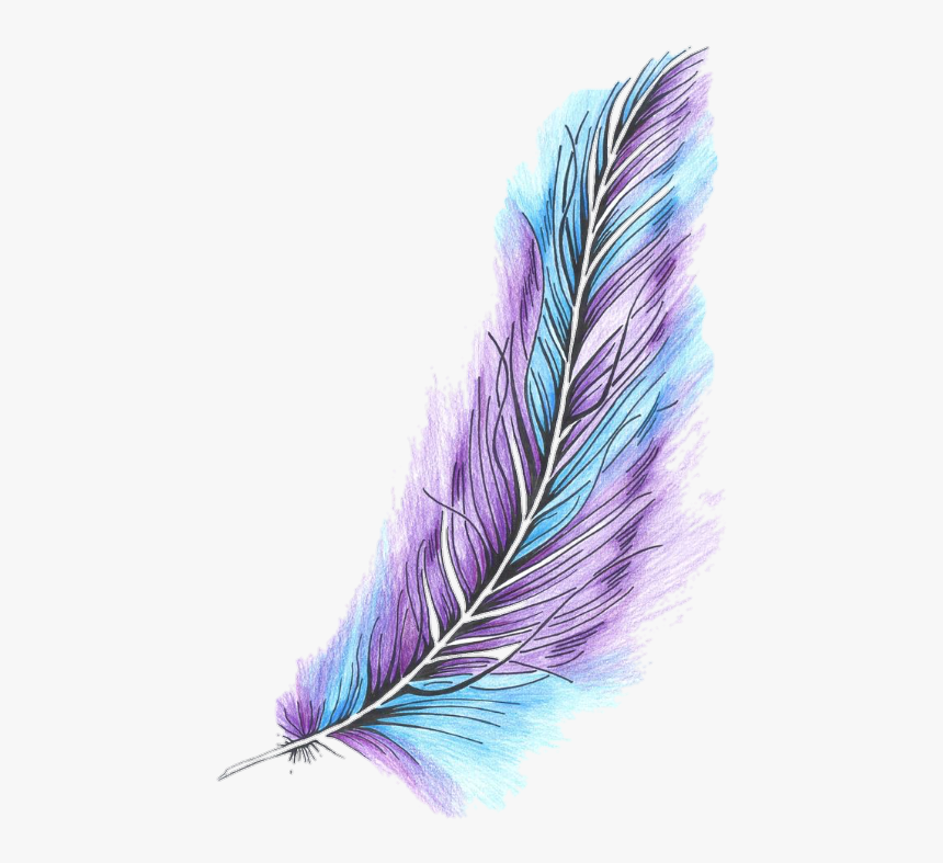 Detail Feather Background Tumblr Nomer 33