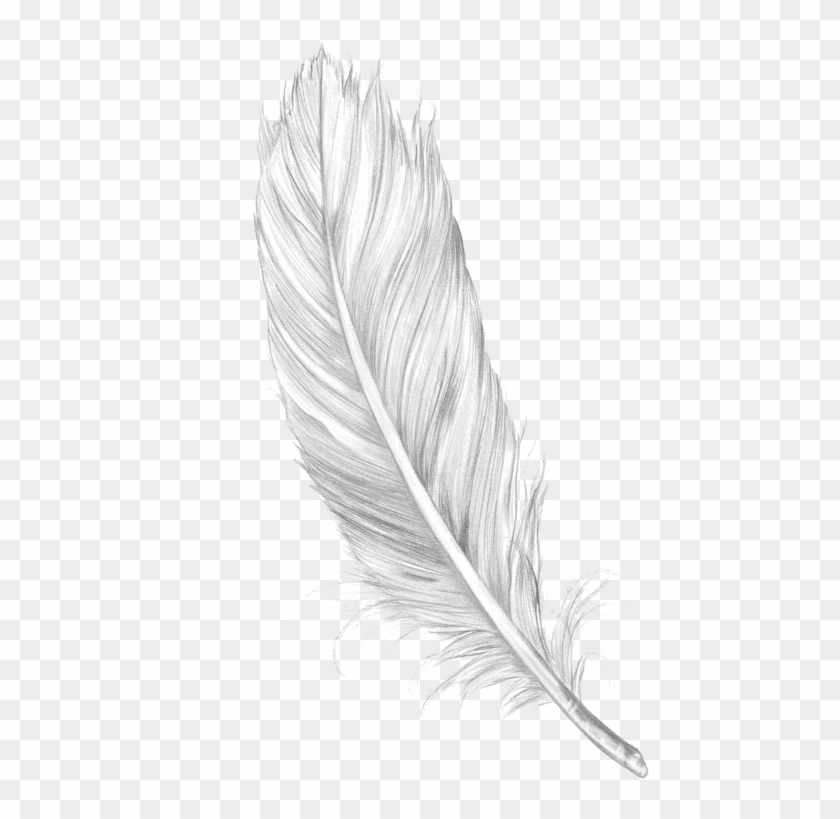 Detail Feather Background Tumblr Nomer 46
