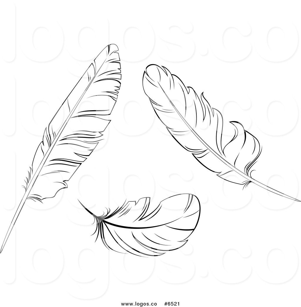 Detail Feather Black And White Clipart Nomer 7