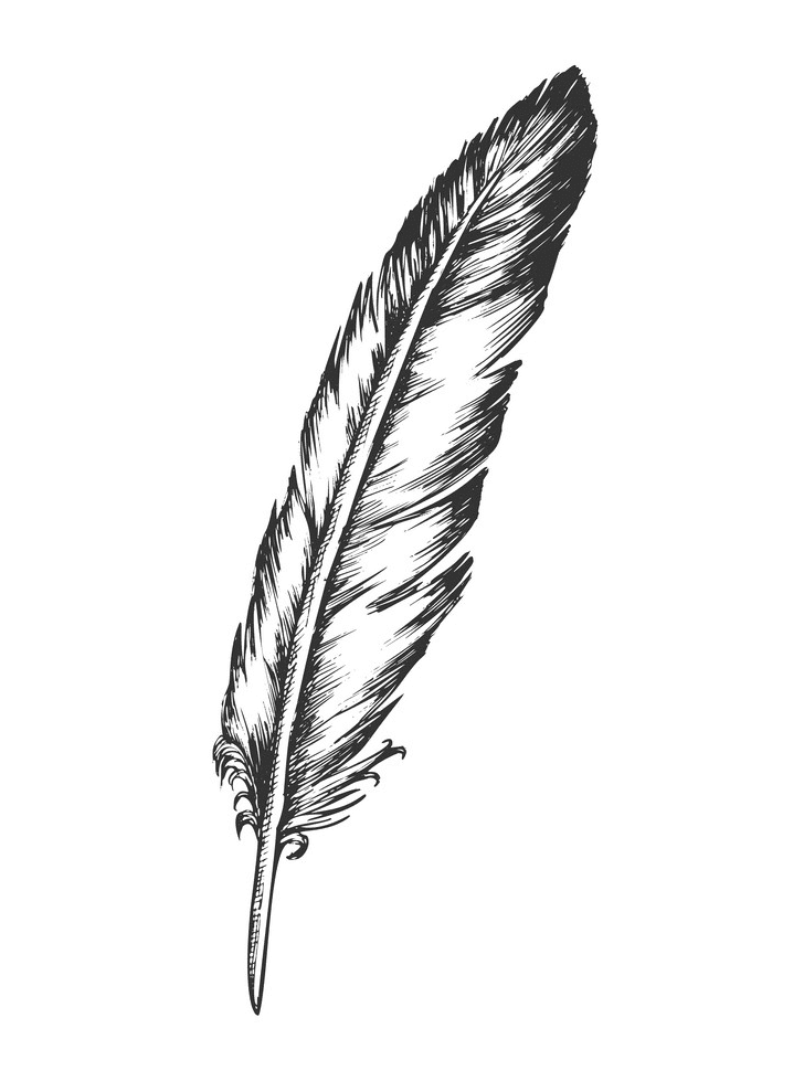 Detail Feather Black And White Clipart Nomer 14
