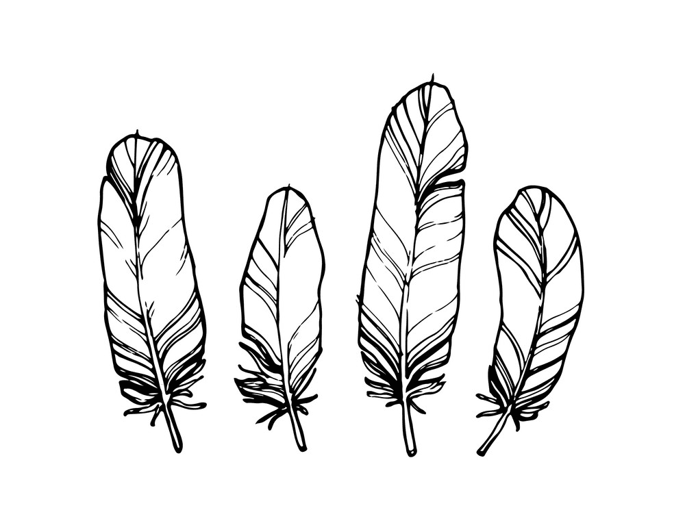 Detail Feather Black And White Clipart Nomer 2