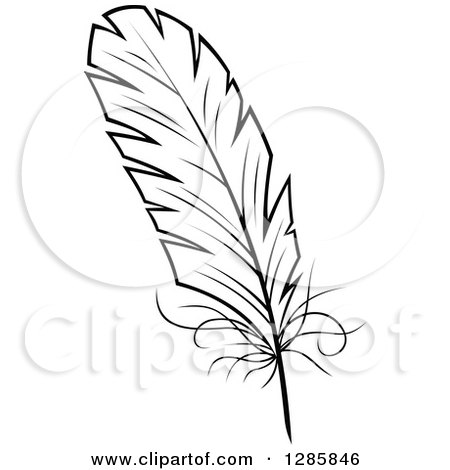 Detail Feather Black And White Clipart Nomer 20