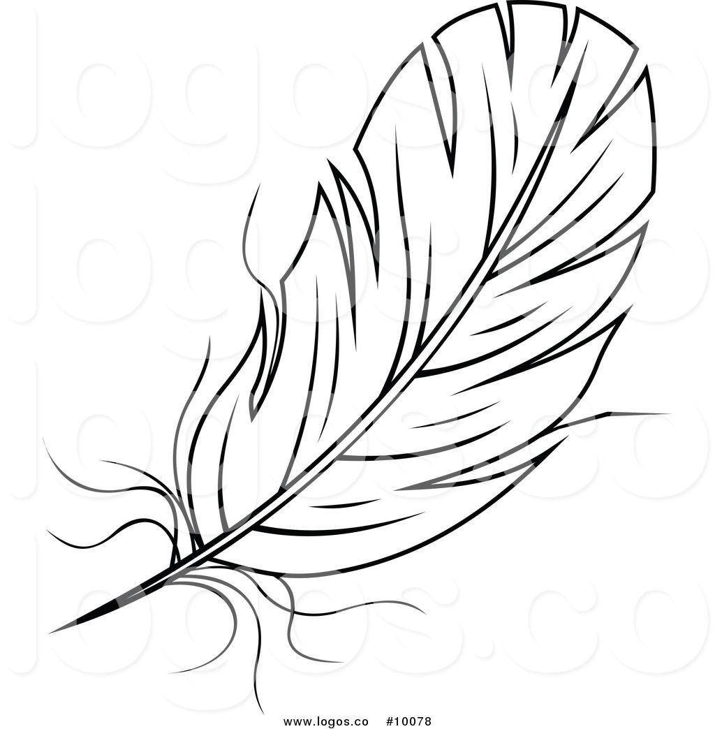 Detail Feather Black And White Clipart Nomer 3