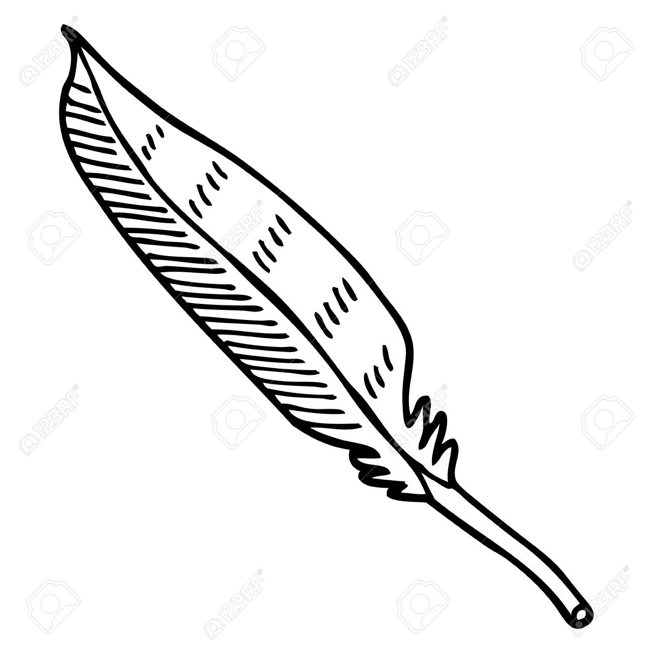 Detail Feather Black And White Clipart Nomer 42