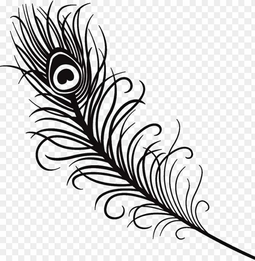 Detail Feather Black And White Clipart Nomer 47