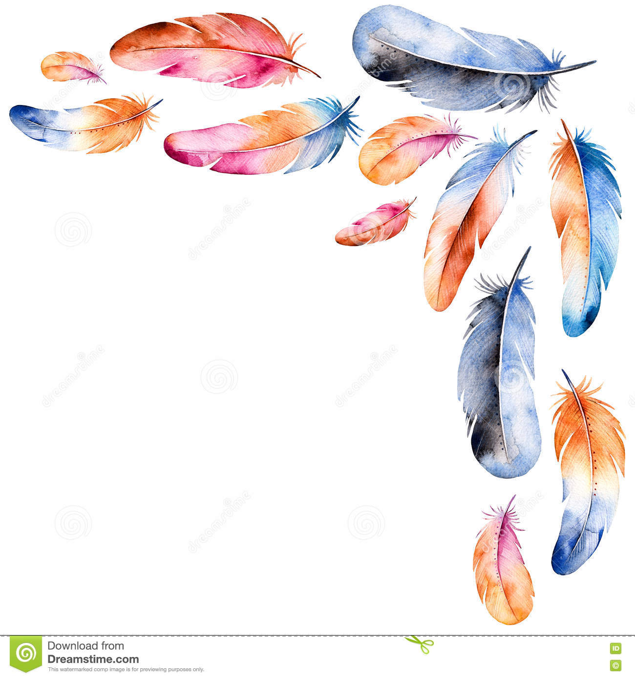 Detail Feather Border Clipart Nomer 32