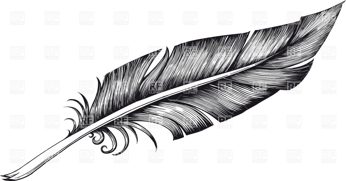 Detail Feather Clipart Nomer 38