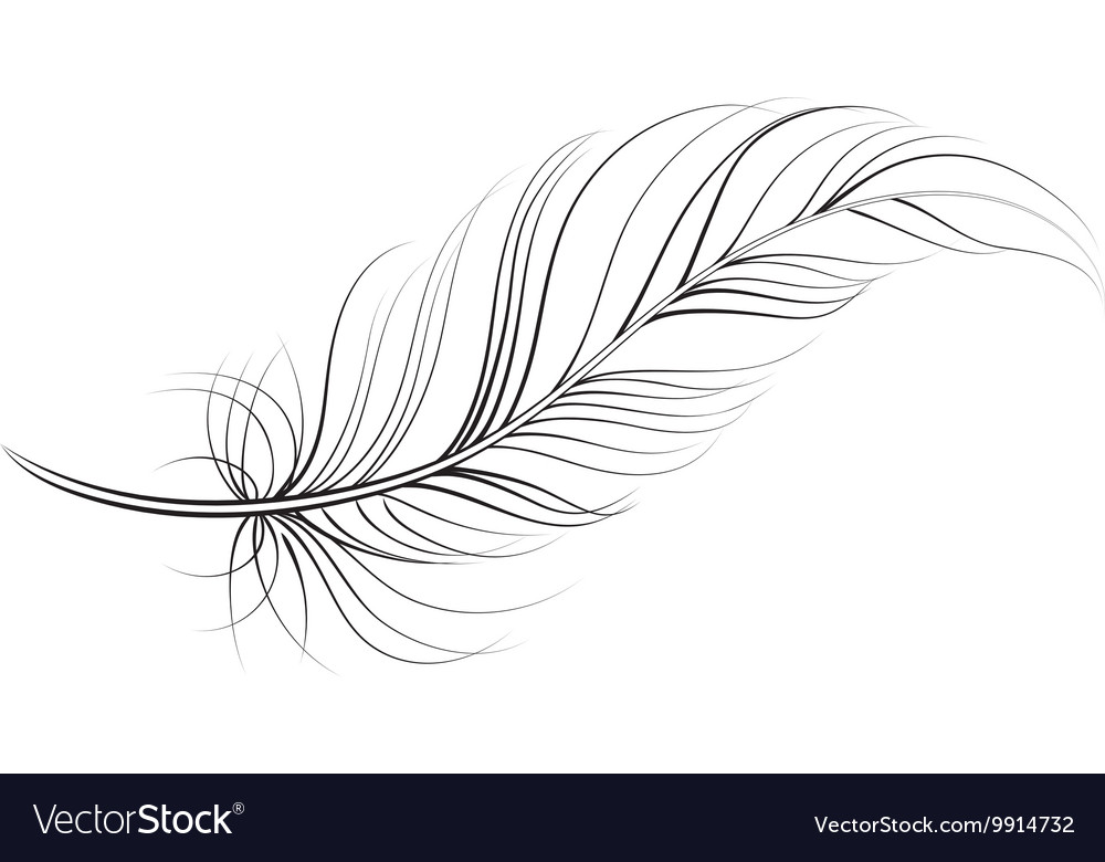 Detail Feather Clipart Nomer 8