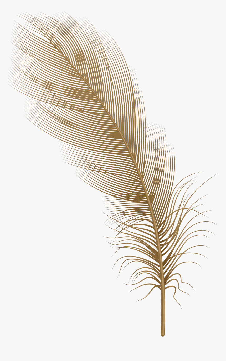 Detail Feather Clipart Png Nomer 2
